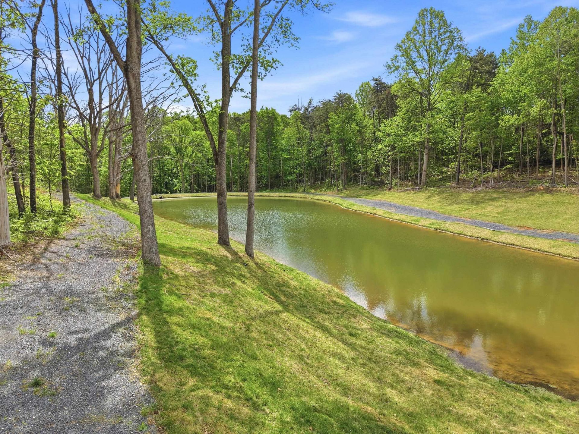 709 Stultz Gap Rd, Edinburg, VA 22824 Main Photo