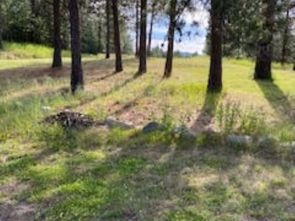 108 S Main St, Springdale, WA 99173