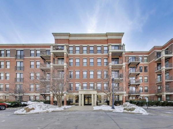 2335 W Belle Plaine Avenue, Unit 306, Chicago, IL 60618