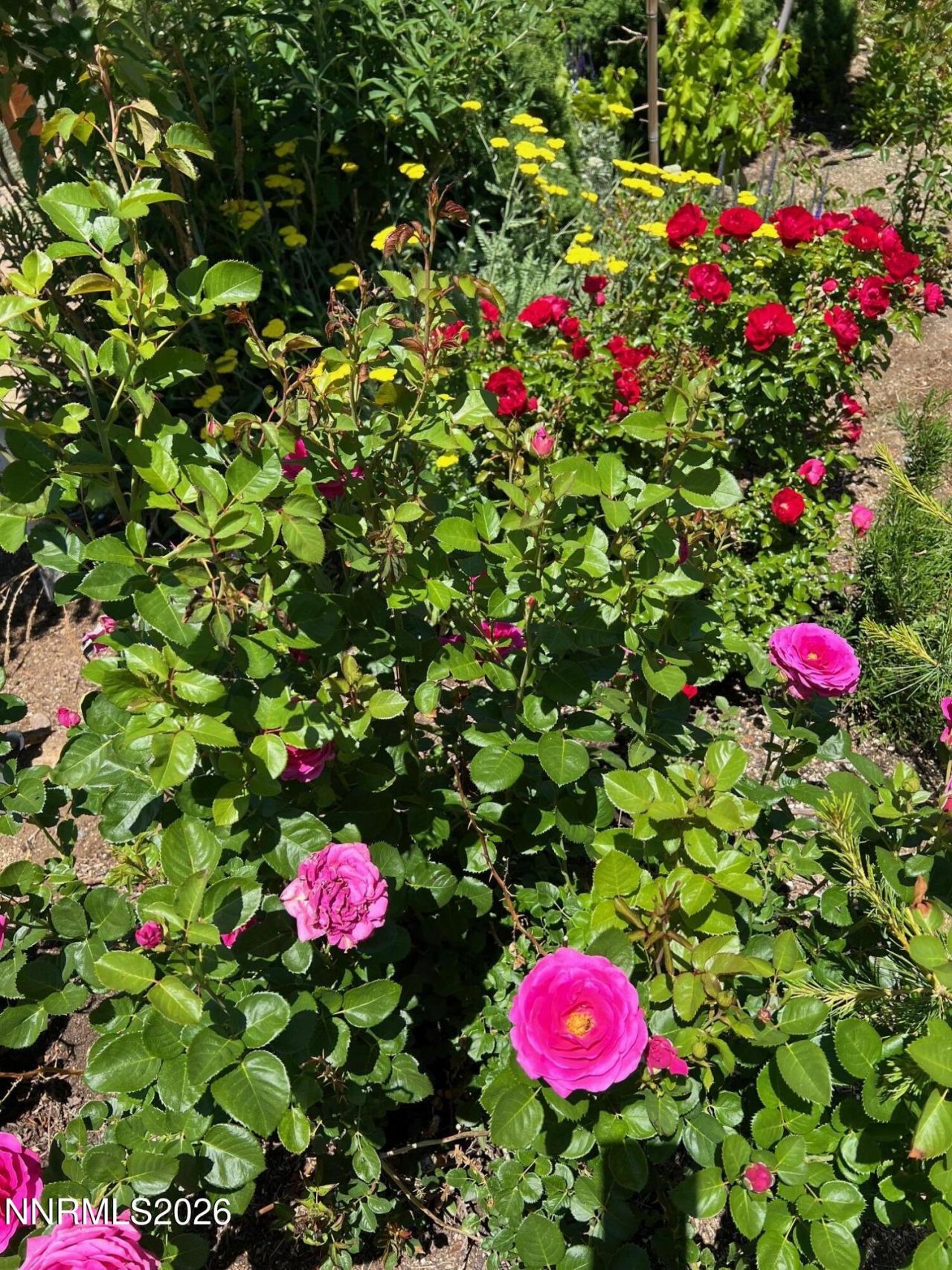 7707 Rhythm Circle, Sparks, NV 89436 Photo