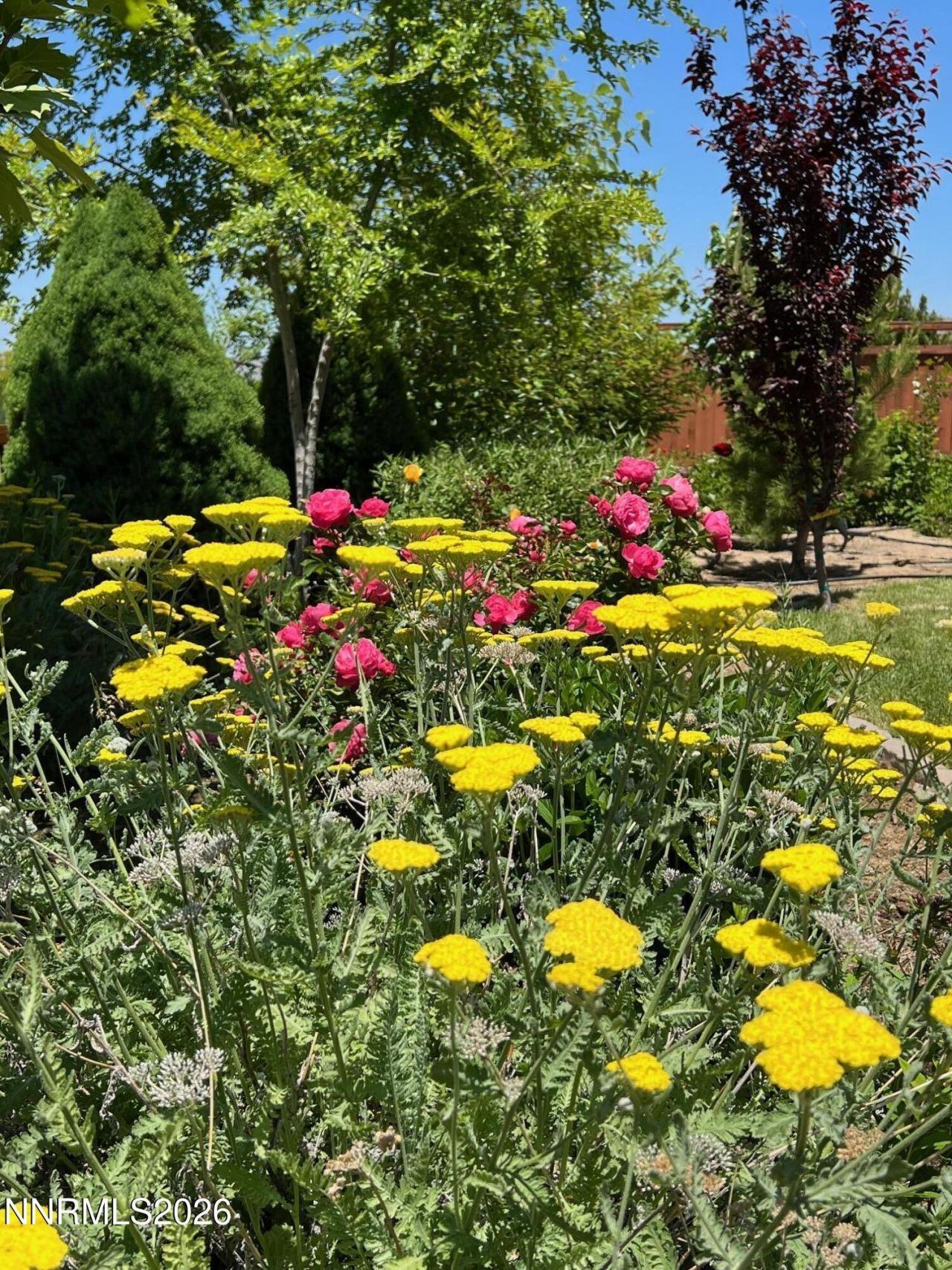 7707 Rhythm Circle, Sparks, NV 89436 Photo