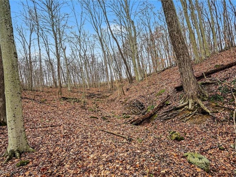 Cr 402, Warsaw, OH 43844 Photo 10