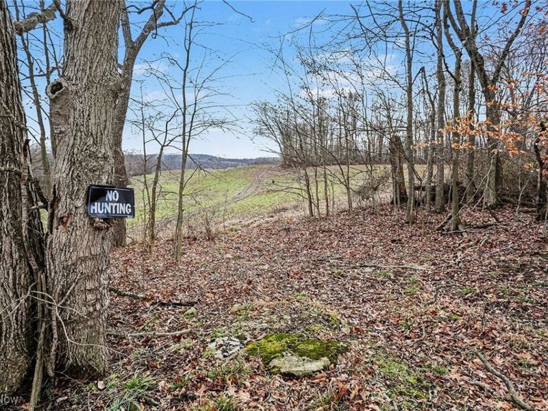 Cr 402, Warsaw, OH 43844 Photo 14