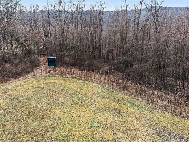 Cr 402, Warsaw, OH 43844 Photo 22