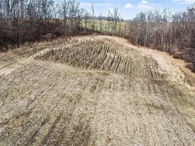 Cr 402, Warsaw, OH 43844 Photo 23