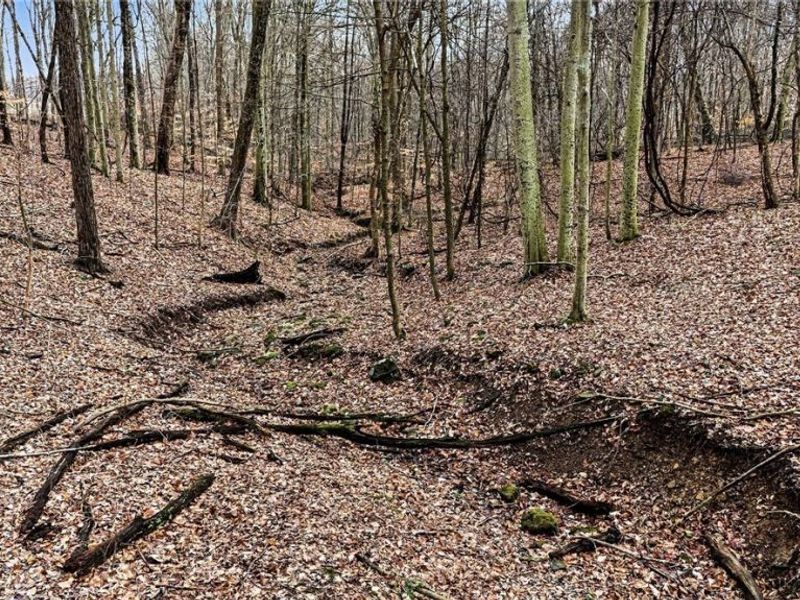 Cr 402, Warsaw, OH 43844 Photo 25