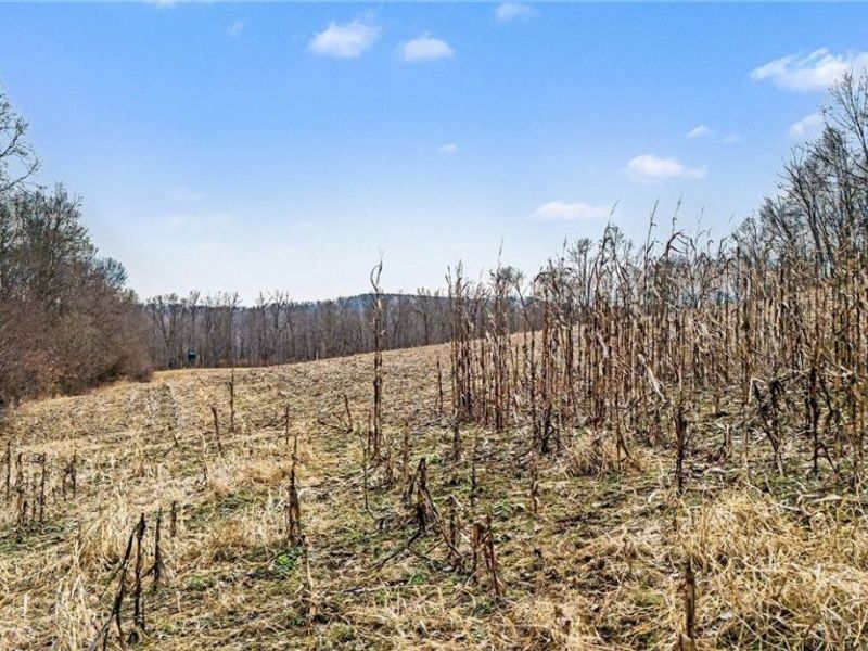 Cr 402, Warsaw, OH 43844 Photo 26