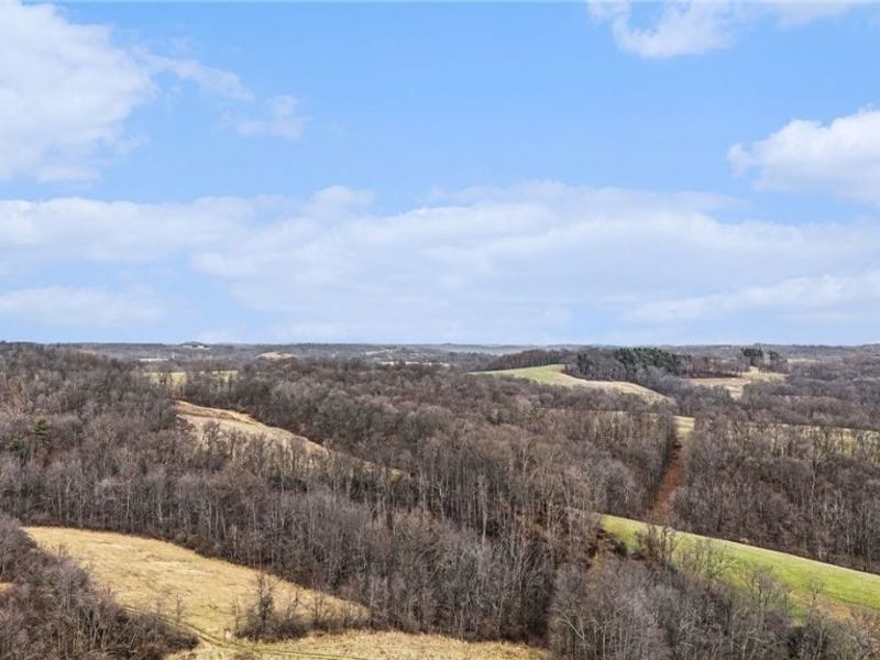 Cr 402, Warsaw, OH 43844 Photo 28