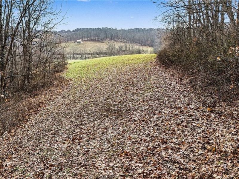 Cr 402, Warsaw, OH 43844 Photo 34