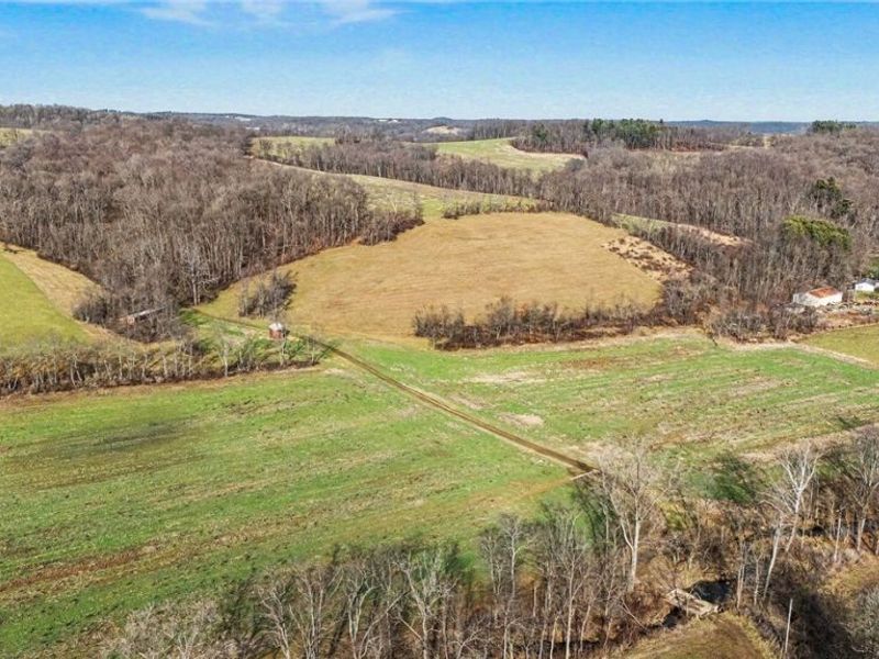 Cr 402, Warsaw, OH 43844 Photo 49