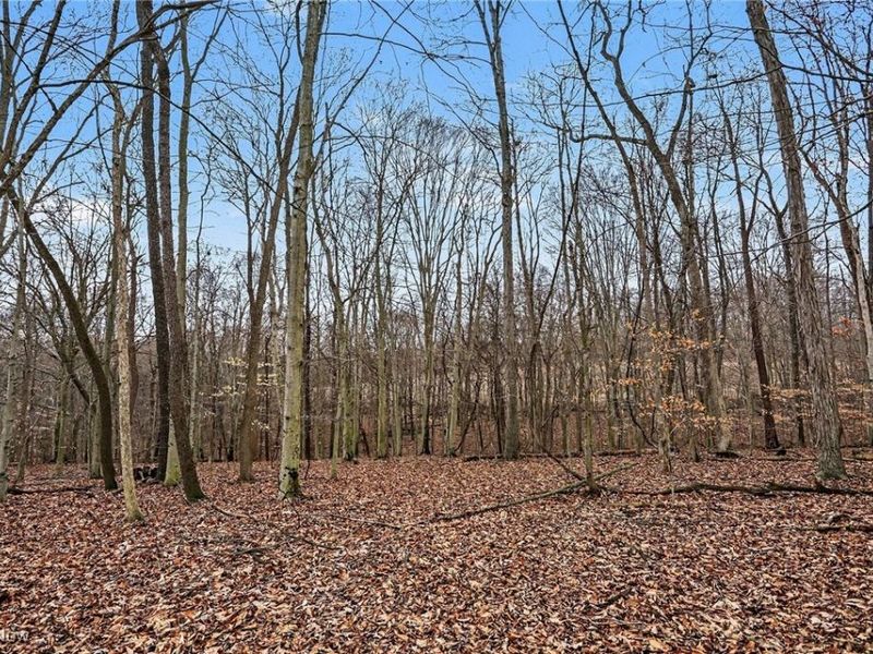 Cr 402, Warsaw, OH 43844 Photo 8