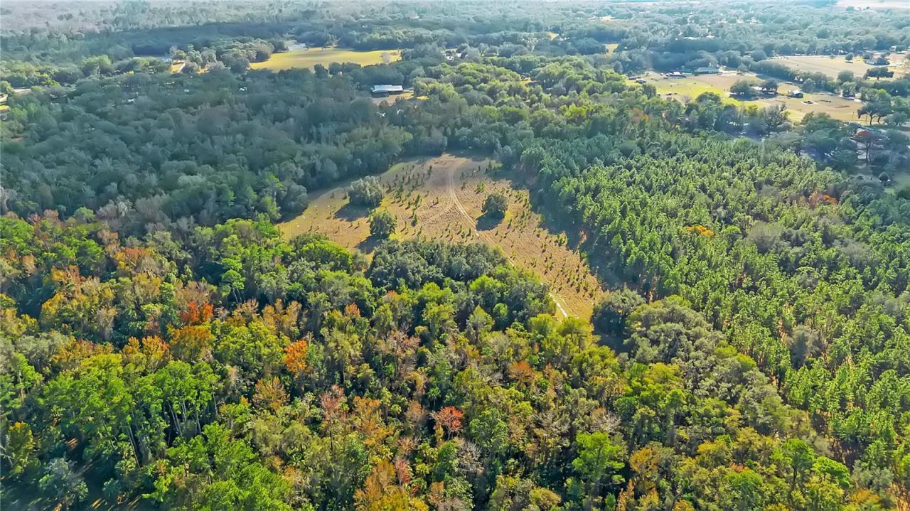 27737 County Road 44a, Eustis, FL 32736 Photo