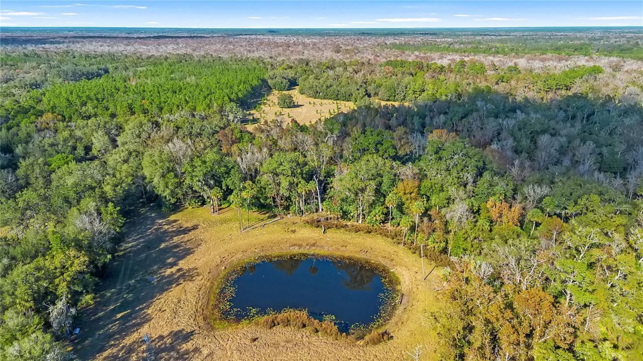 27737 County Road 44a, Eustis, FL 32736 Photo