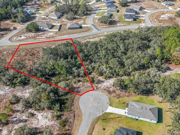 320 BOWFIN LANE, KISSIMMEE, FL 34759