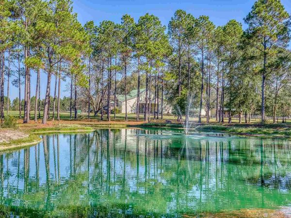 1650 Bear Bay Flats Rd, Laurel Hill, FL 32567