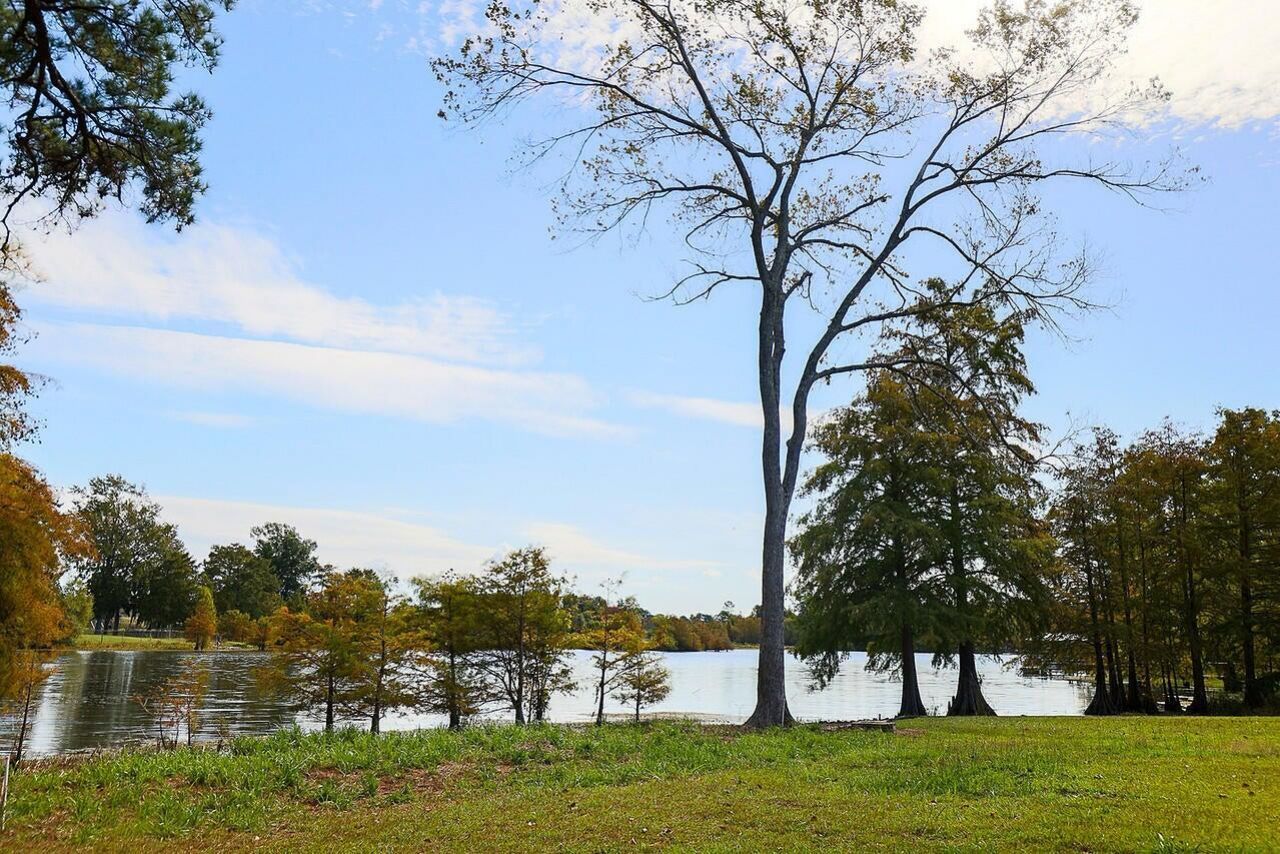 256 Plantation Drive Photo 32