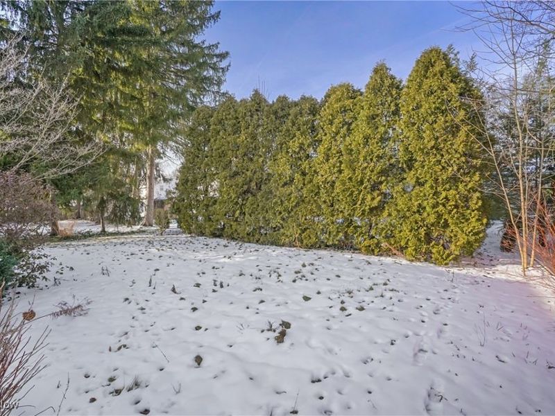 1123 Courtleigh Drive, Akron, OH 44313 Photo 49