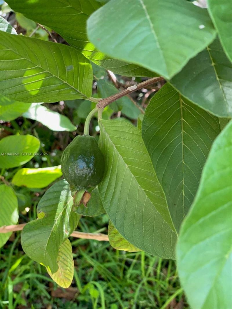 13135 SW 218th Ter, Miami, FL 33170 Photo