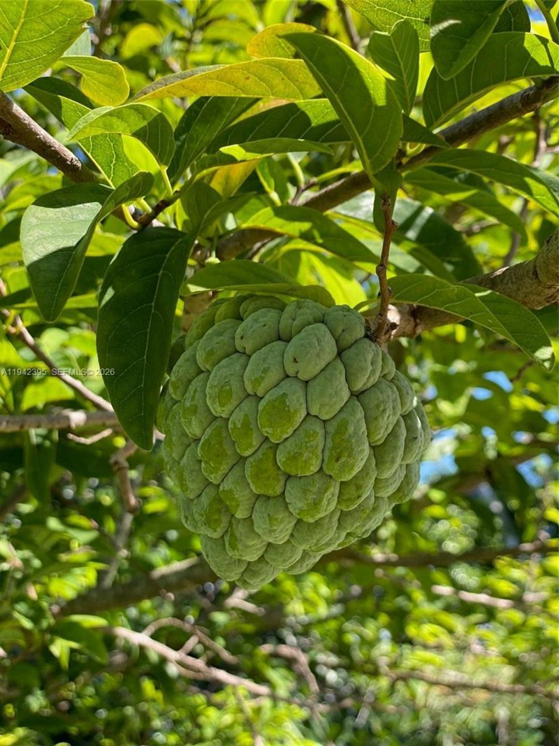 13135 SW 218th Ter, Miami, FL 33170 Photo