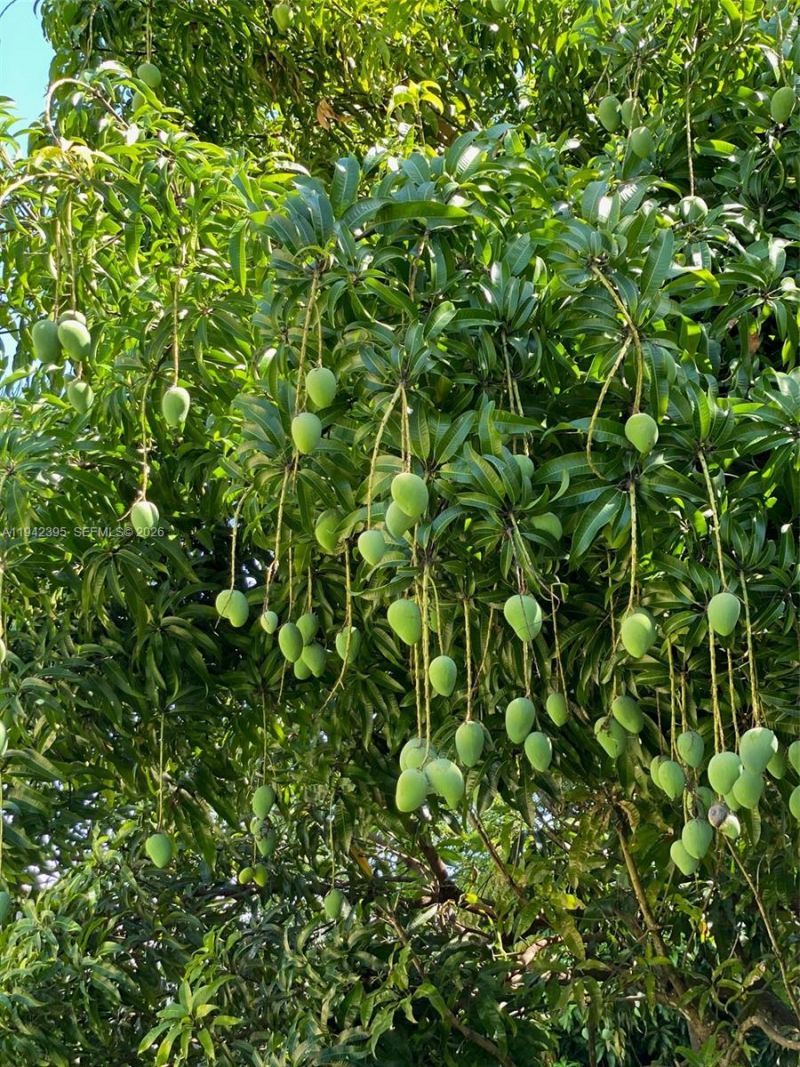 13135 SW 218th Ter, Miami, FL 33170 Photo