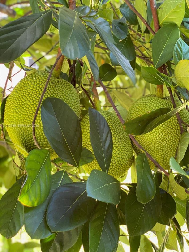 13135 SW 218th Ter, Miami, FL 33170 Photo