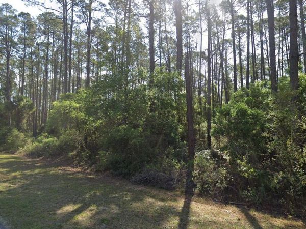 165 GEORGETOWN DENVER Road, Georgetown, FL 32139