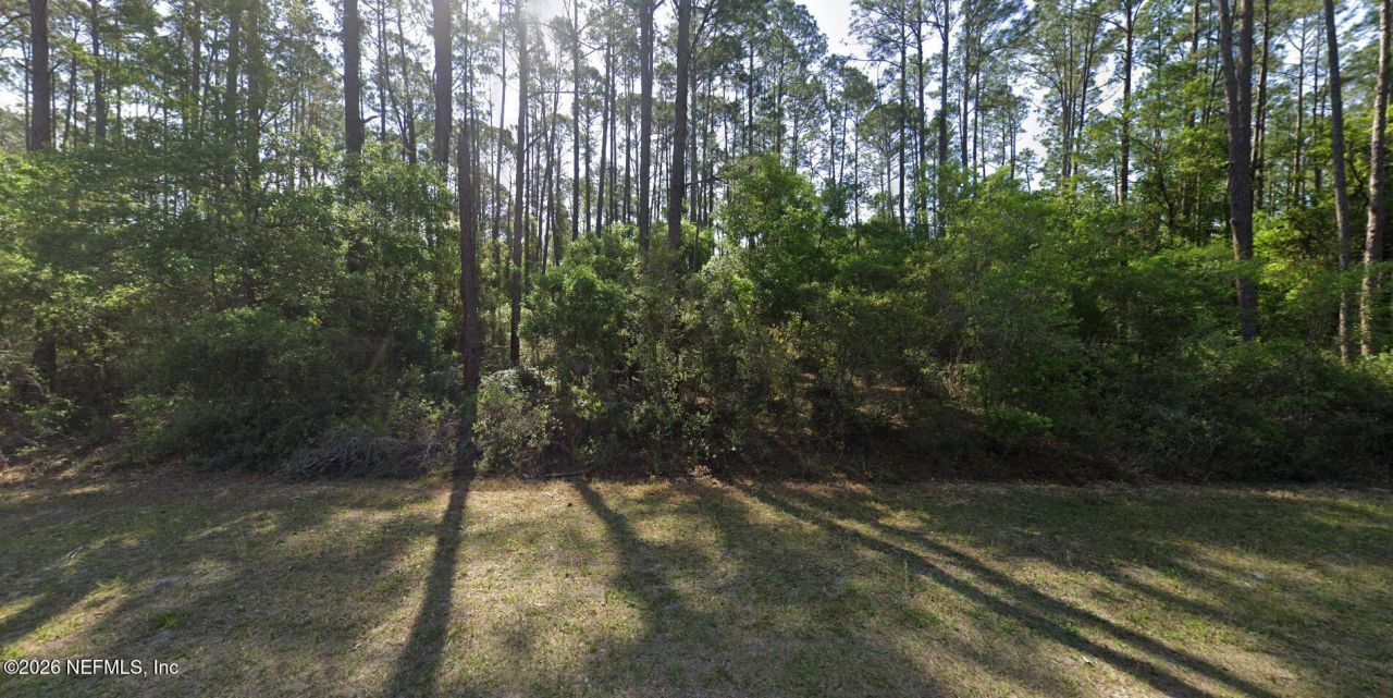165 Georgetown Denver Road, Georgetown, FL 32139 Photo