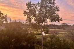 611 Mclernon photo 4