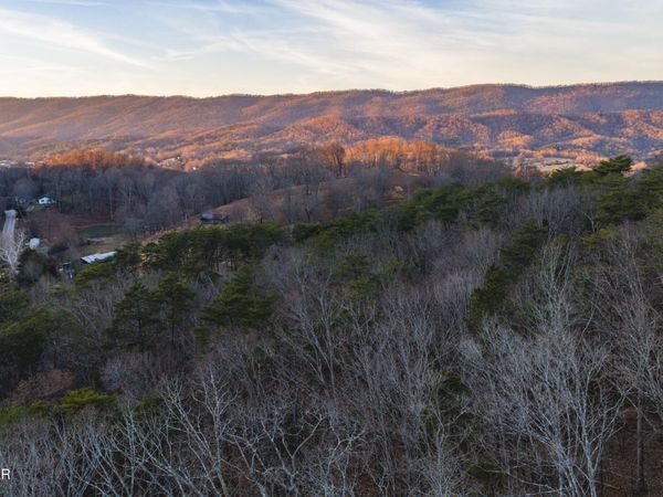 1655 Lester Whitt Road, Rutledge, TN 37861