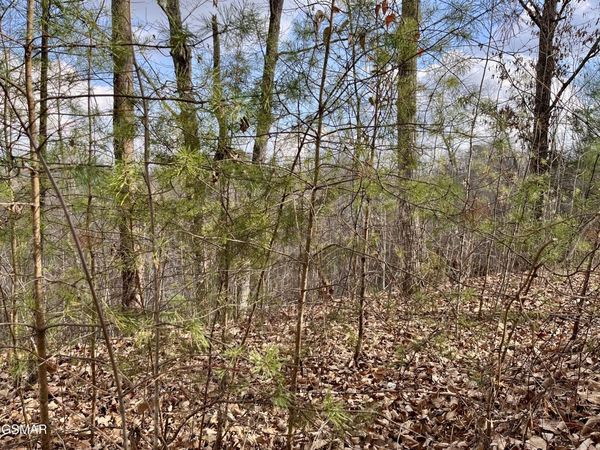106 & 107 Dollys Drive, Sevierville, TN 37876