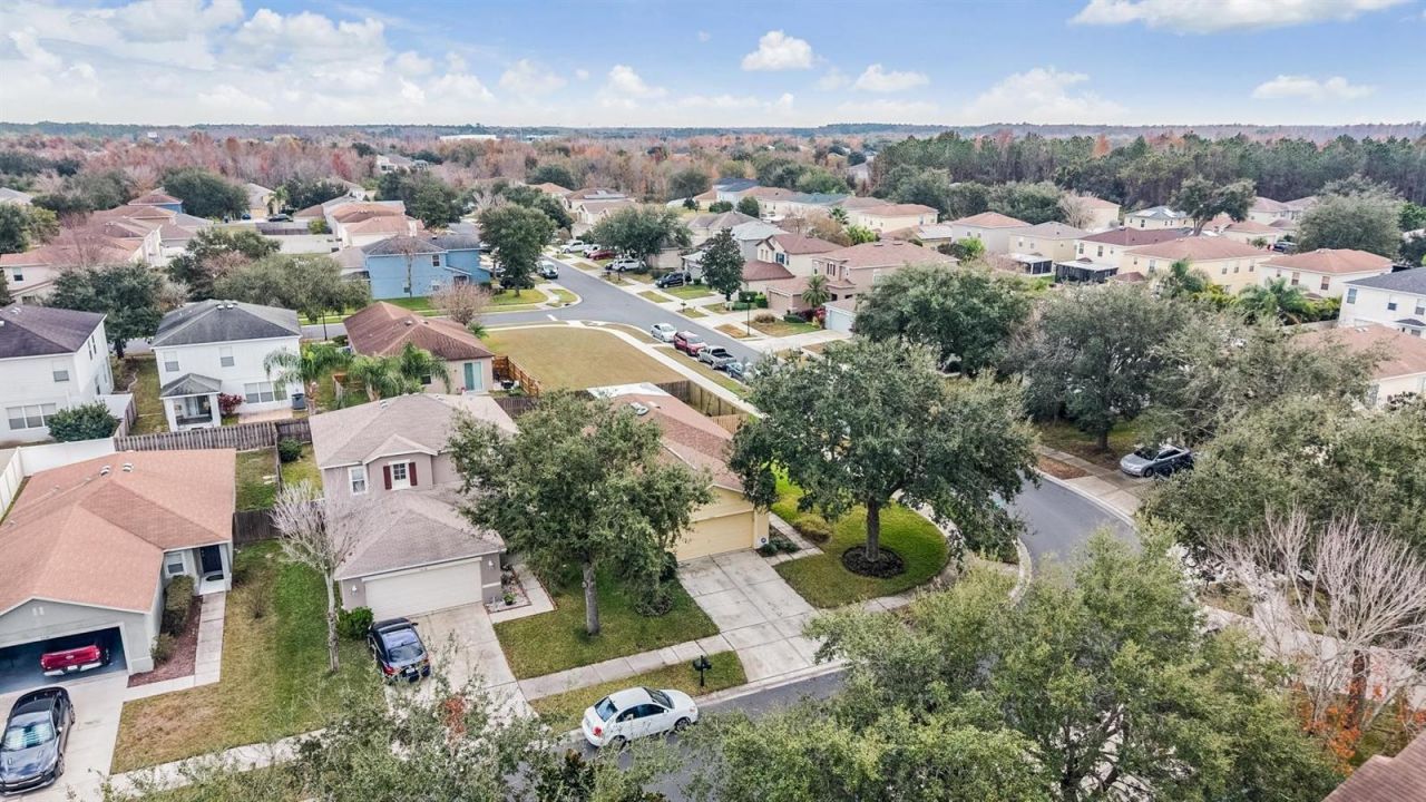 9520 Simeon Drive, Land O Lakes, FL 34638 Photo