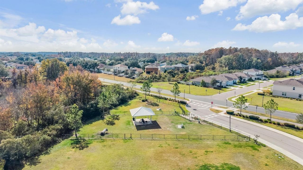 9520 Simeon Drive, Land O Lakes, FL 34638 Photo