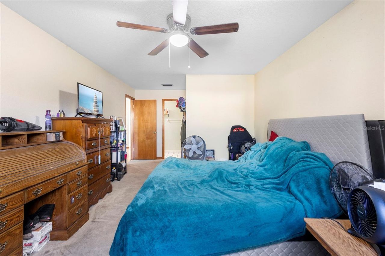 347 W Castlewood Lane, New Smyrna Beach, FL 32168 Photo