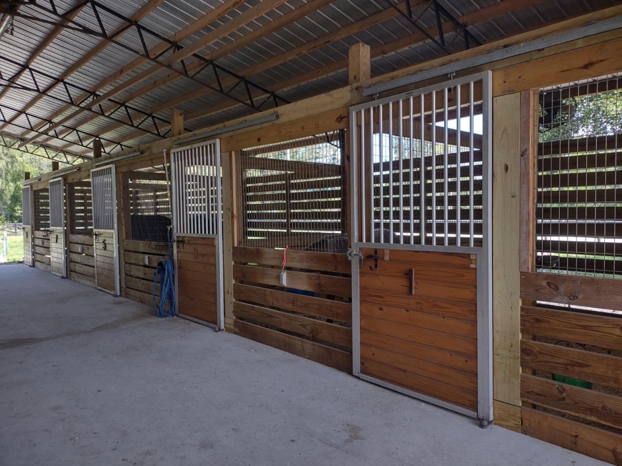 18080 W Sycamore Drive, The Acreage, FL 33470 Photo