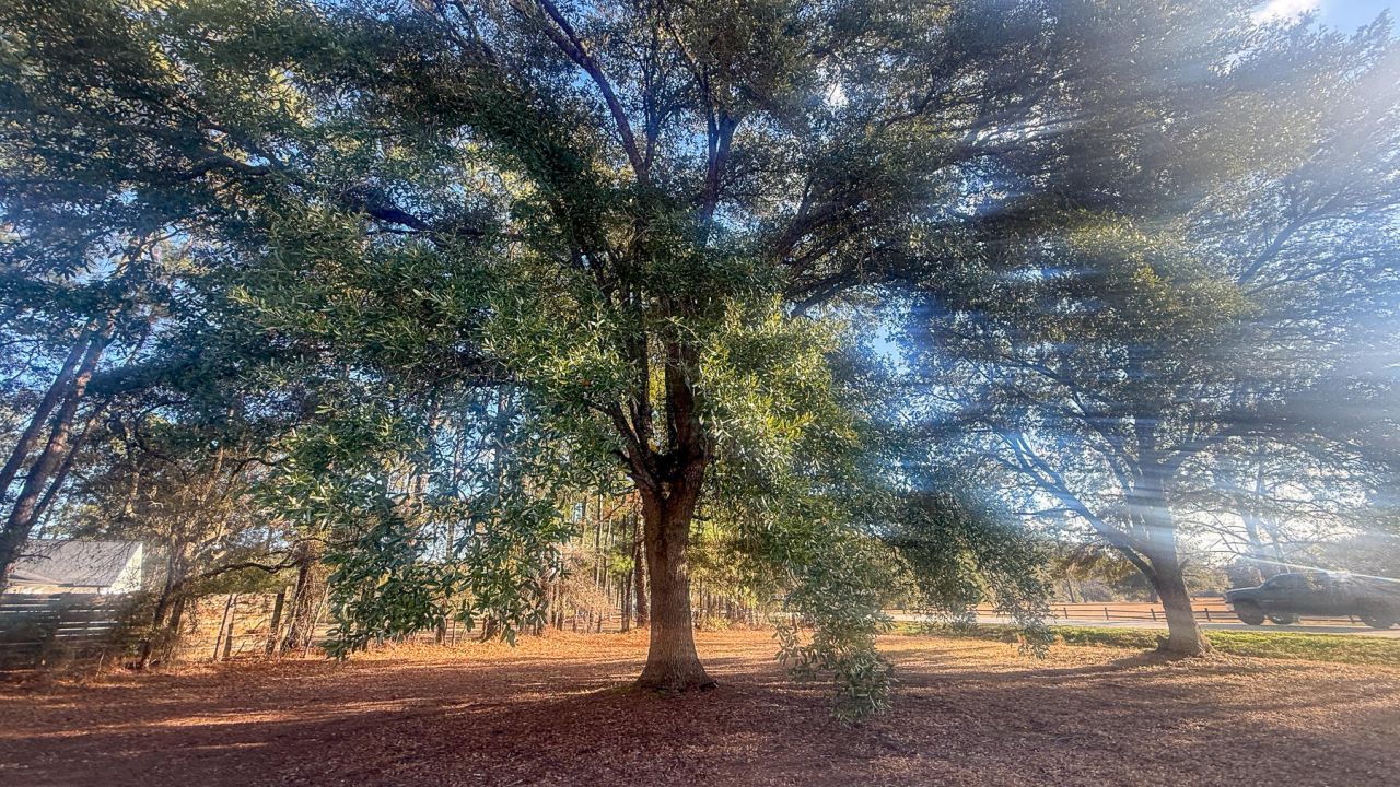 1748 Highway 402 Photo 28