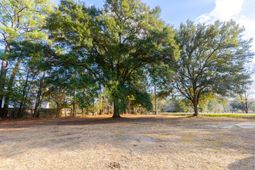 1748 Highway 402 photo 4