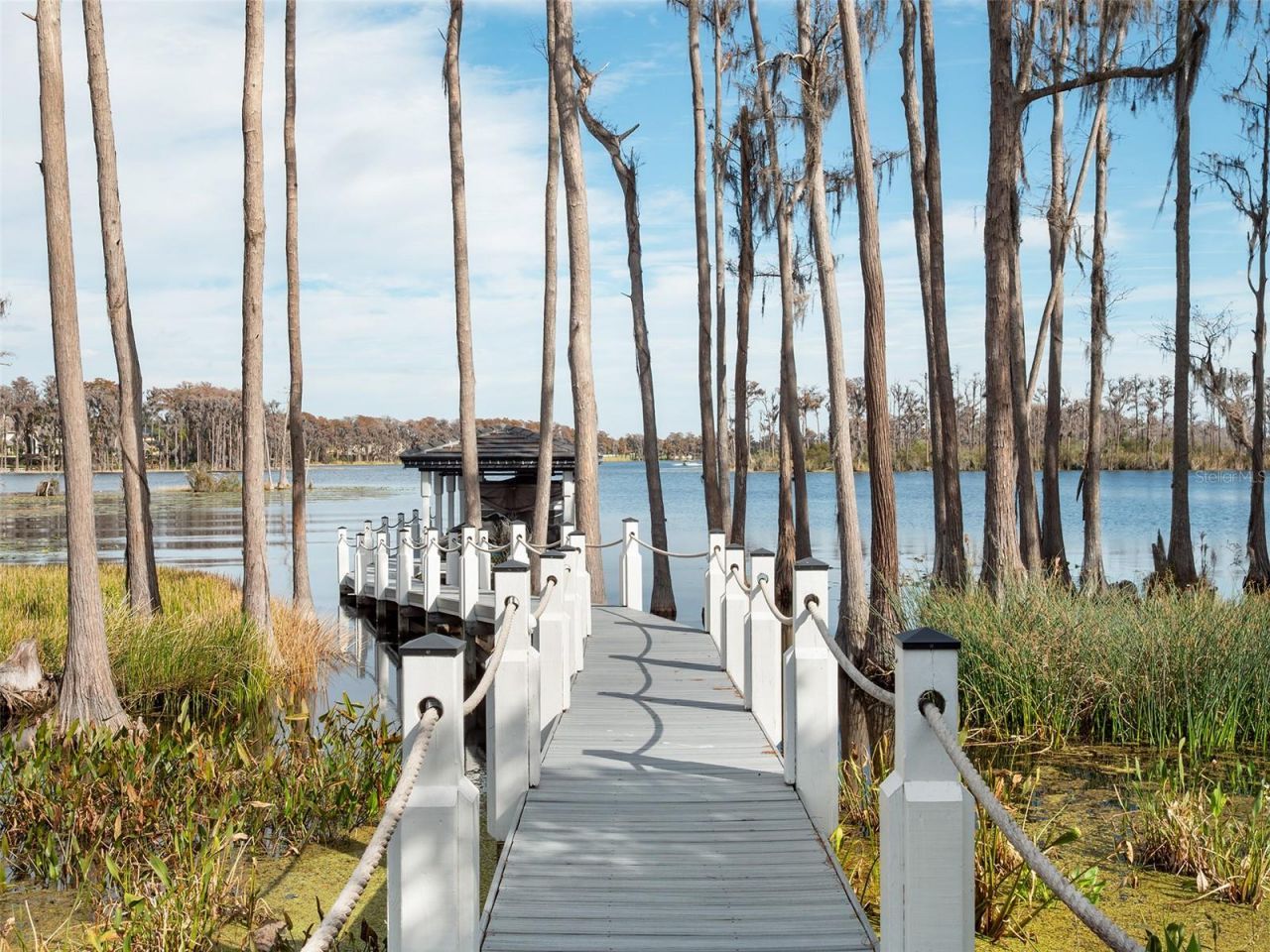 6117 Louise Cove Drive, Windermere, FL 34786 Photo