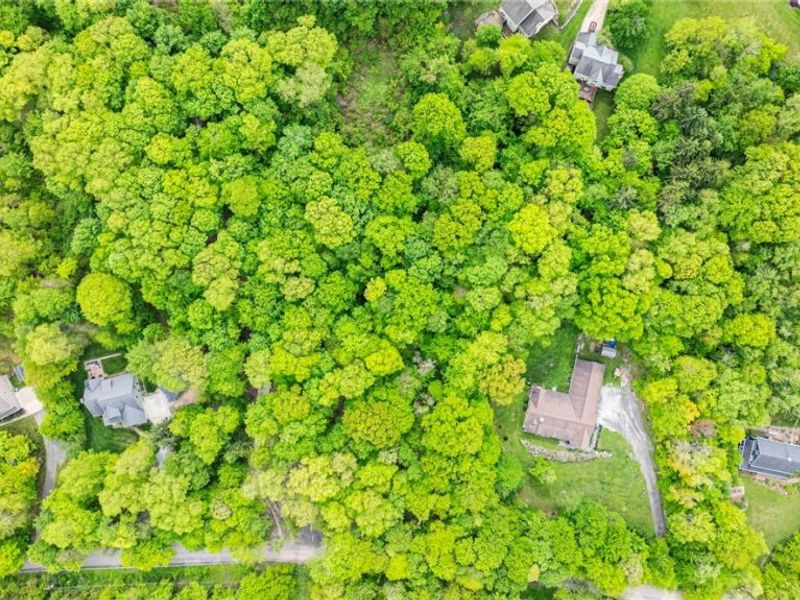 13561 Colony Lane, Burton, OH 44021 Photo 4