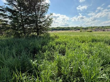 8292 Cabot Avenue, Medford, MN 55049