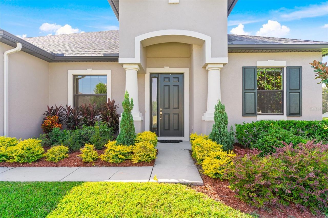 913 Buckhurst Drive, Spring Hill, FL 34609 Photo