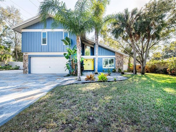 1599 BRAE MOOR LANE, DUNEDIN, FL 34698