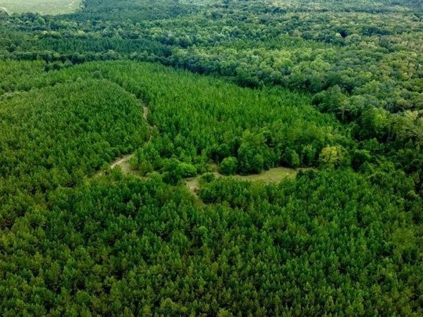 0 Les Smith Road, Ellaville, GA 31806