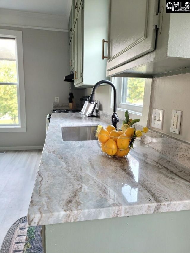 203 Sparkleberry Lane Photo 12