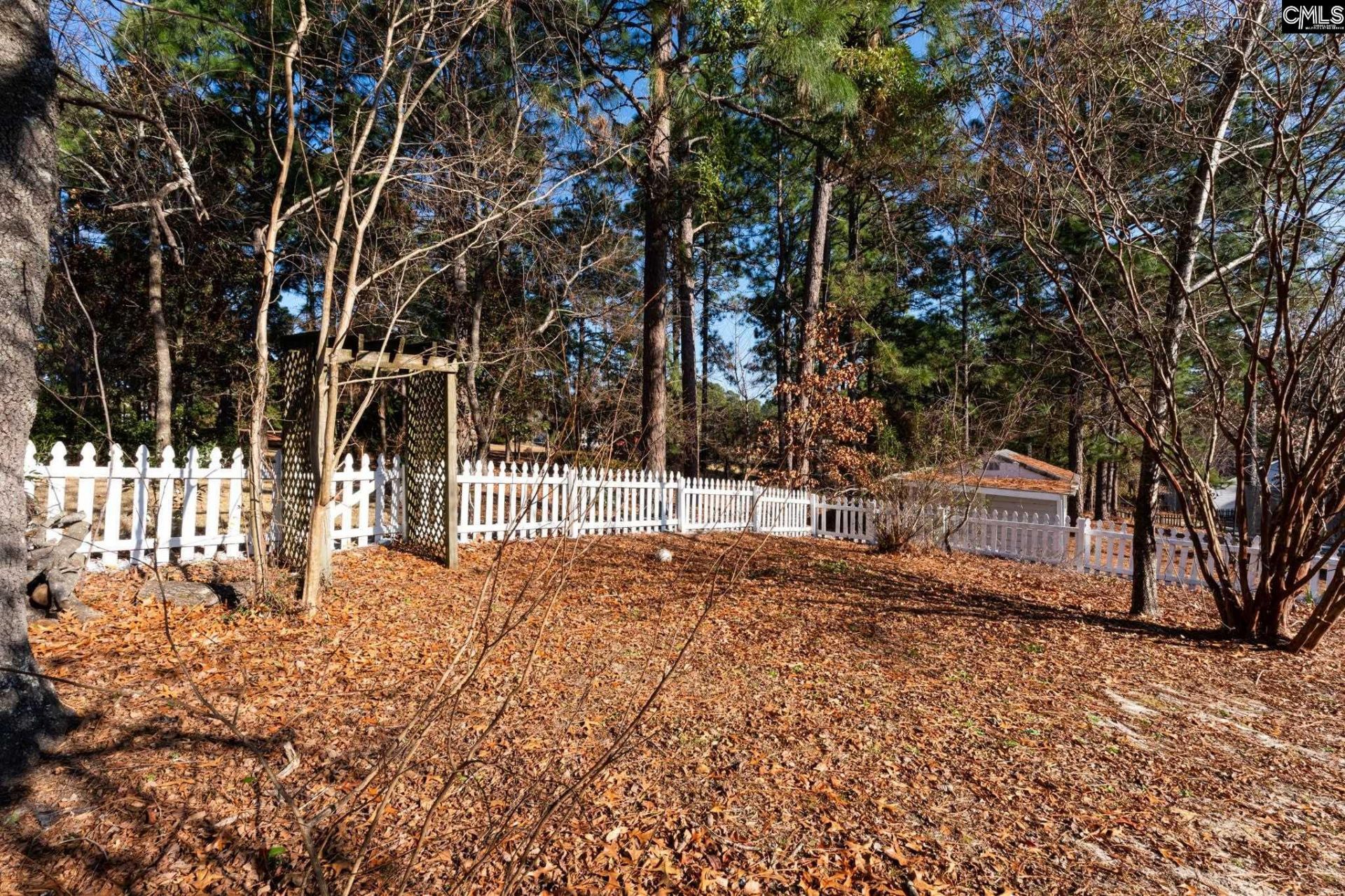 203 Sparkleberry Lane Photo 29