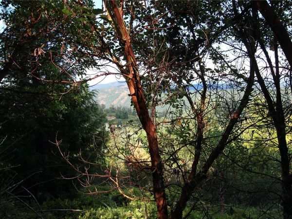 Lot 29 Goldstream Heights Dr, Shawnigan Lake, BC V0R 2L0