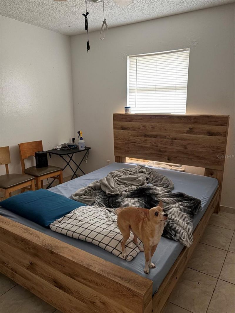 1311 Woodman Way, Orlando, FL 32818 Photo