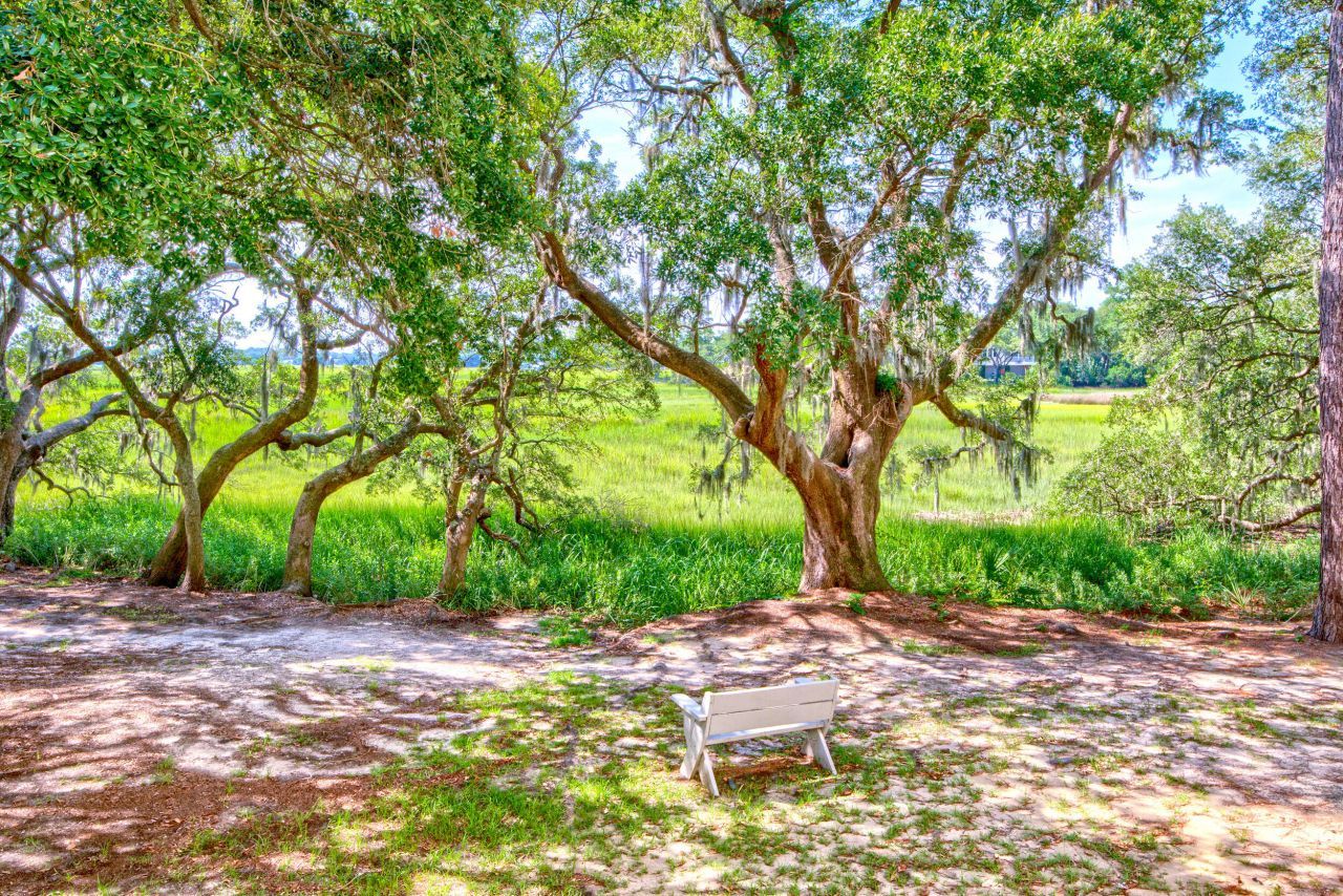 700 Daniel Ellis Drive Photo 13