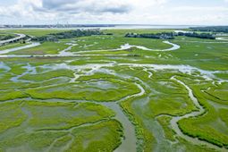 700 Daniel Ellis Drive photo 4