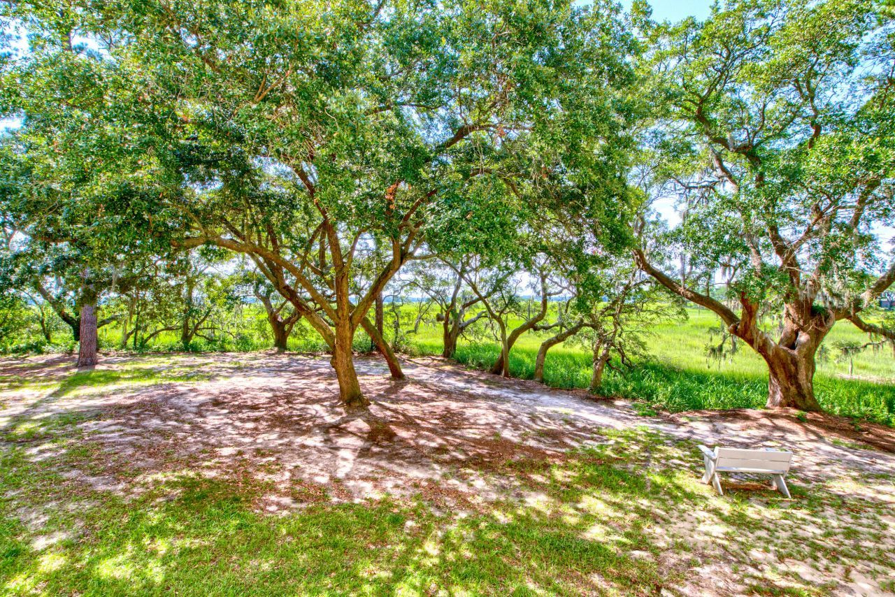 700 Daniel Ellis Drive Photo 36