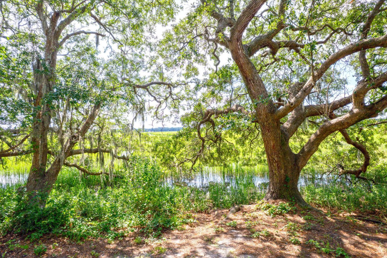 700 Daniel Ellis Drive Photo 6